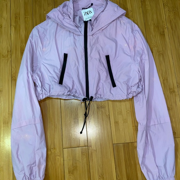 purple cropped windbreaker